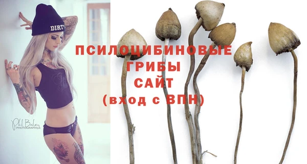 дурь Зеленодольск