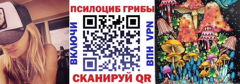 Галлюциногенные грибы MAGIC MUSHROOMS Черкесск